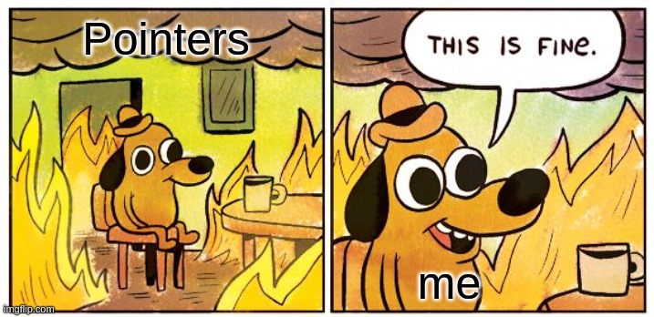 burning house meme showing my relation with cpp pointers